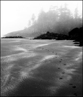 A Walk in the Mist, McKenzie Beach