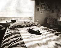 Winter Sun, Sleeping Cat